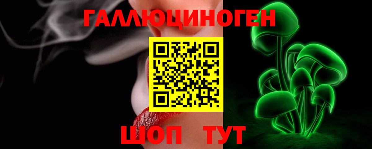 Псилоцибиновые грибы Psilocybine cubensis Астрахань